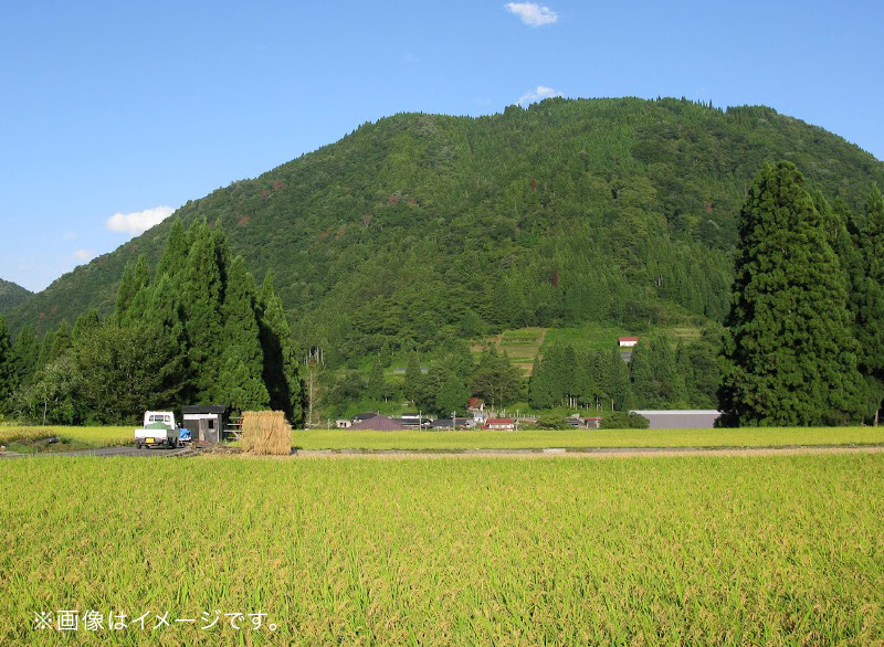 岐阜県飛騨産コシヒカリ ※画像はイメージです。